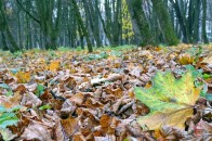 В Україну суне потужний холод