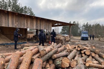 У селі на Волині провели масові обшуки у незаконних лісорубів (фото/відео)