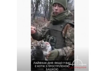 Пізд*та попільничка: військовий волинської бригади загасив цигарку об труп кішки (відео 18+) − ЗМІ