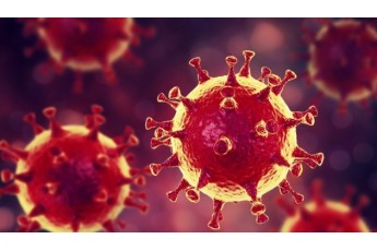 В Україні за добу виявили 4 576 нових хворих на коронавірус, на Волині – 93