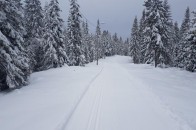 На Волині та ще у двох областях залишається обмежений рух на дорогах