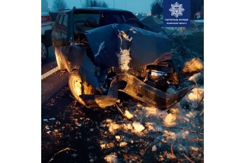 Автівка розтрощена вщент: поблизу Луцька водій заснув за кермом та врізався в дерево (фото)