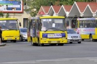 У Луцьку поліцейські оштрафували водія маршрутки, не порахувавши пасажирів (відео)