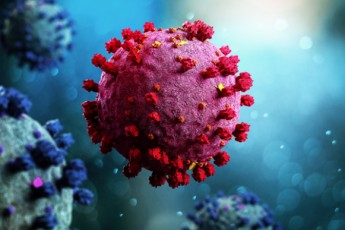В Україні знайшли невідомий штам коронавірусу