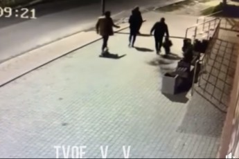У Володимирі п'яна компанія пошкодила і вкрала зелені насадження біля магазину (відео)