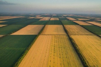 Українцям розповіли, як продати землю після 1 липня: є важливі нюанси