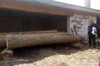 У волинянина на пилорамі виявили незаконну деревину (фото)