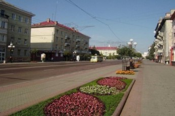 Проспект Волі у Луцьку внесли у програму озеленення міста