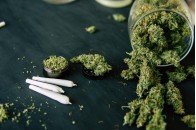 В українських аптеках будуть продавати марихуану: в чому плюси легалізації