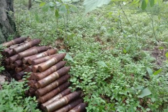 На Волині під час збирання чорниць знайшли 33 артилерійських снаряди