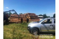 У районі на Волині – масштабні обшуки: вилучили сотні кубів незаконної деревини (фото)