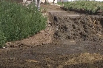 На Волині селяни потерпають від зливу гноївки з корівників (відео)