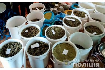 Плантація та 40 кг коноплі: в українця знайшли «товару» на 8 млн грн (фото)