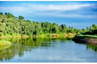 У річках України знайшли залишки препаратів від Covid-19
