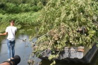 Річку Стир у Луцьку розчищають від повалених дерев