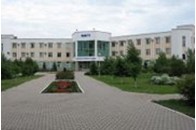 Маріуполь – центр італійської культури 