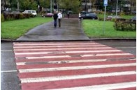 Червоно-білих зебр не буде