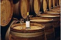 На Закарпатті відкрили винні тури 