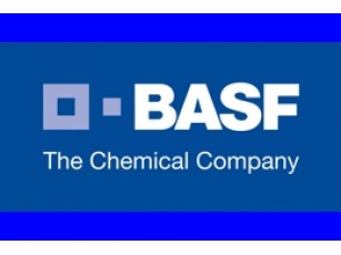 BASF призупиняє свою діяльність