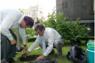 Президент відправив усю країну на толоку 