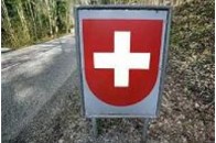Через свинячий грип на карантин помістили 250 солдат