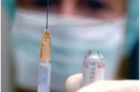 На свинячий грип вже хворіють і птахи
