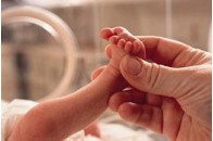 Небезпечний меламін знову виявлено у дитячому харчуванні