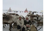 Якутія: ”полюс холоду” прогрілося до плюс 34 градусів 