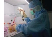 Учені виростили штучні легені