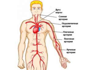 Агресивні люди живуть менше