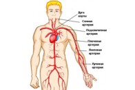 Агресивні люди живуть менше