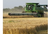 ООН: Україна стала одним зі світових лідерів зі зростання виробництва продовольства