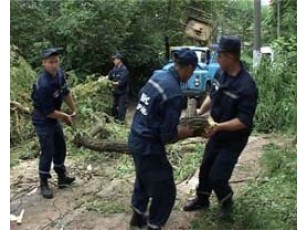 В Україні через сильний вітер знеструмлено 45 населених пунктів