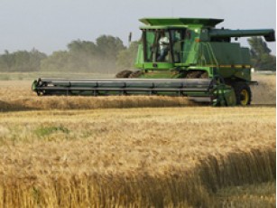 Аграрії за рік отримали майже сім мільярдів гривень кредитів