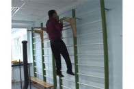 Медведєв підтягнувся на турніку 5 разів перед учнями сільської школи