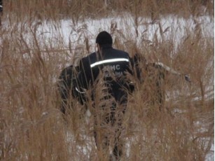 Вінницькі рятувальники витягли лебедів із замерзлого ставка