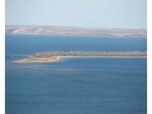 Під Керченською протокою хочуть прорити тунель