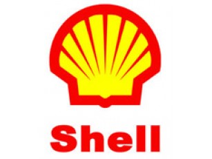 Янукович чекає від Shell ефективних дій з видобутку сланцевого газу в Україні
