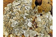 Естонському шукачеві скарбів виплатили 100 тисяч євро 