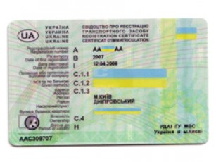 Права видаватимуть на 10 років