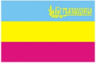 СБУ проводить обшук в офісі партії \