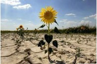 Британські метеорологи розповіли, що чекає Україну в XXI столітті 