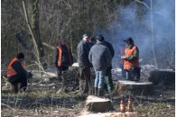 В центральному парку рубають дерева. За собою залишають випалену землю