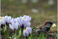 Погода завтра в Україні - до 16° тепла