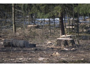 Луцькрада припинила \