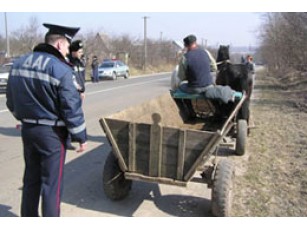 Працівники ДАІ взялися за водіїв возів