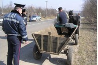 Працівники ДАІ взялися за водіїв возів