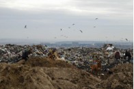 Віталій Карпюк взявся за брищенський  полігон 