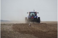 На Волині ще не засіяли 107 тис га землі