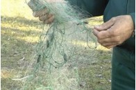 У Луцьку перевіряли водойми, паралельно відловлюючи браконьєрів 